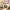Chunky Charms – Camou Dessert | No AMS