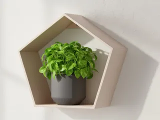 shelf