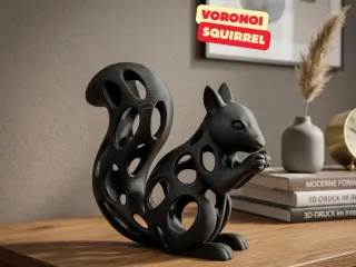 VORONOI SQUIRRL