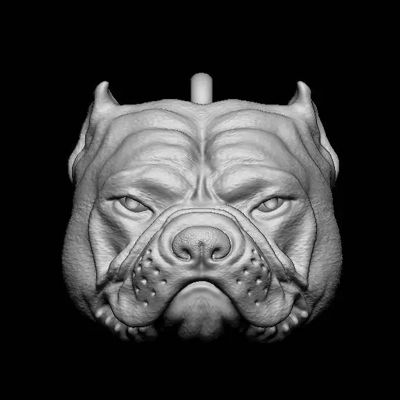 Schlüsselanhänger Exotic Bully Micro Kopf