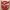 PJ Masks3 Cookie Cutter