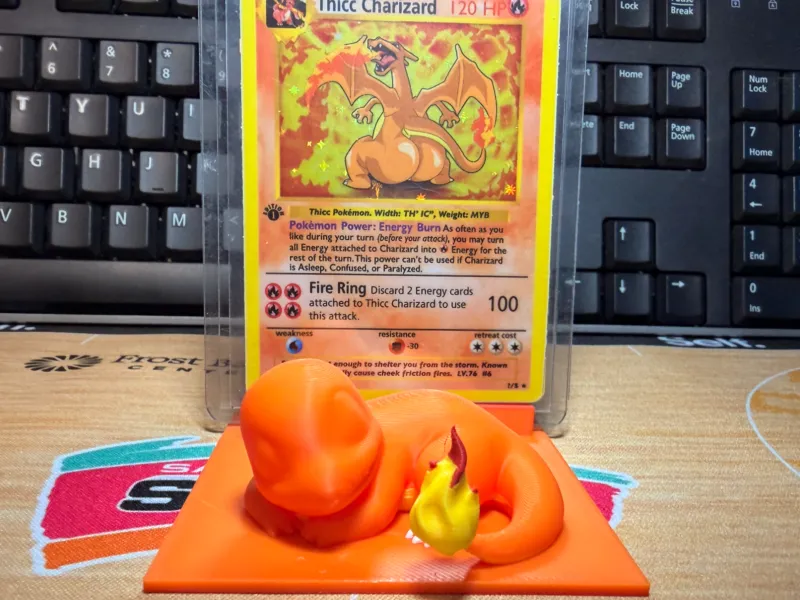 Charmander Sleeping Display Stand