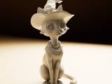 Black Mage Cat-0