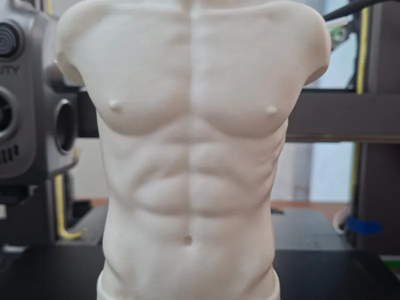 Male Torso in Speedo