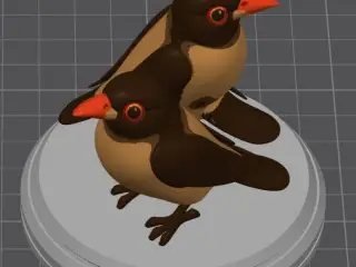 Yellow Billed Oxpecker