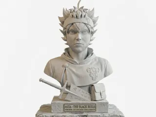 asta busto