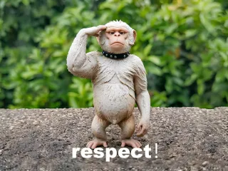 Respect! Monkey Salute