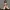 Collector's Edition Bikini Figure v2