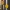 IMAN NEVERA EMOJI 24