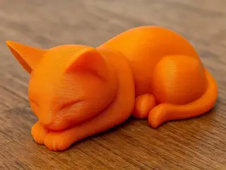 Sleeping Cat