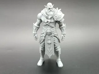 Warcraft Night Elf Warrior