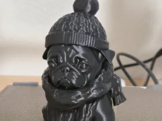 Cozy winter Pug
