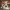 Ryu – Street Fighter Figurine