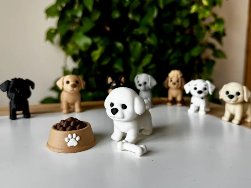 Bichon Frisé