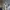 Humanoid Robot - Full Upper Body - (NoVa V2)