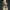 Ranger Black Desert Online