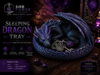 🐉 Sleeping Dragon Tray 🐉