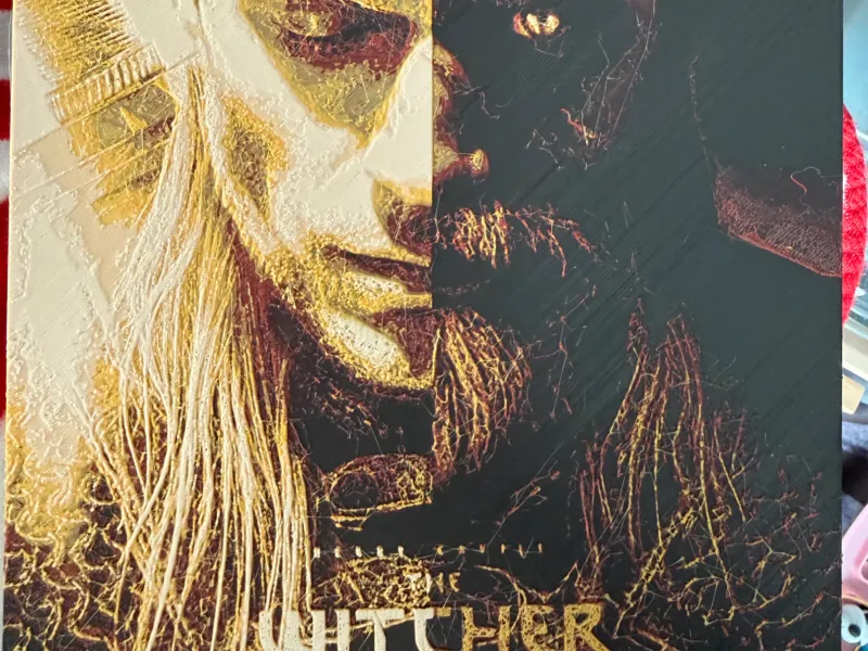 The Witcher (1)