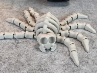 Flexi Skeleton Spider V1