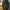 MASQUE SQUID GAME LEADER : MASQUE SQUID GAME LEADER