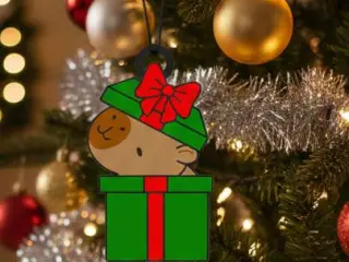 Capibara Regalo