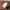 Minecraft Sheep Flexi - Multicolor - Parts