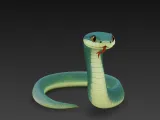 snake with tails-0