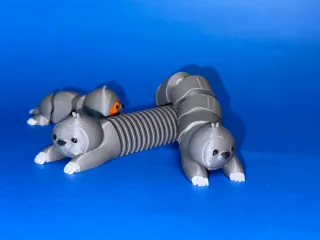 慢悠悠小树懒