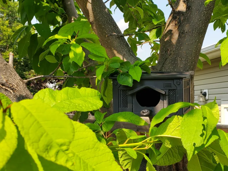 GrandPrix Vogelhuisje