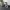 # 🐸 Lustiger Frosch – 3D-druckbare Dekoration