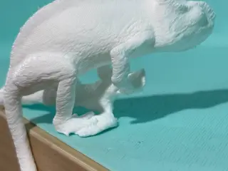Chameleon