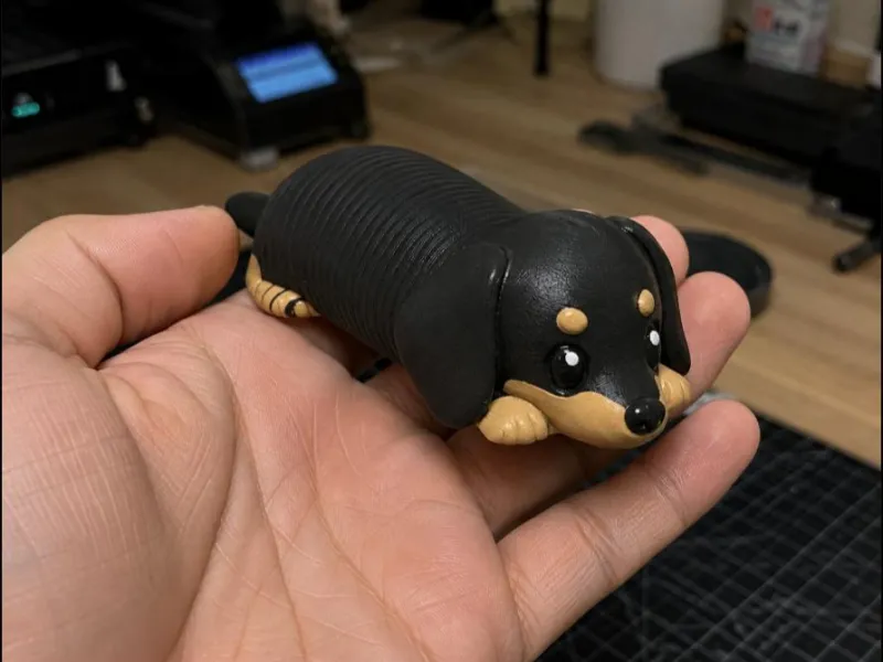 Sleepy Dachshund Companion – Noah0x03