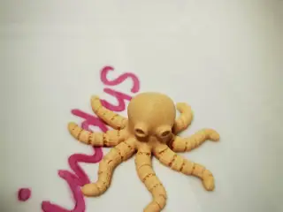 Octopus
