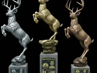 Deer prize