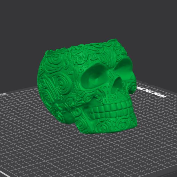 Home print settings: skullplanter.3mf