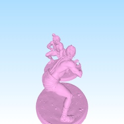 Bundle of two topless wrestler girl-0
