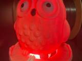 OWL LIGHT V2 WITH LED LIGHT-1