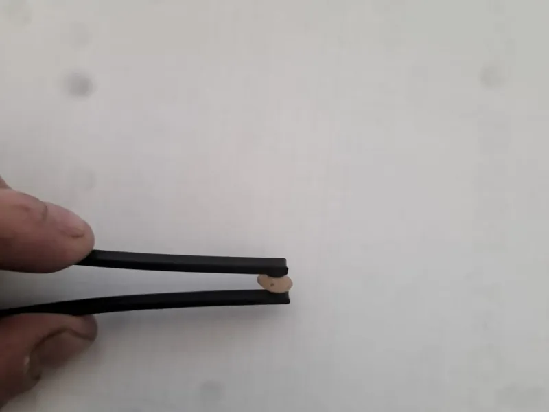 発芽および種子用ピンセット
