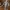 Massive Mountain Brute – Giant Fantasy Creature STL