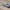 AMX-32