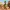 Luigi Desert Bikers