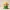 Cute Forest Elf Figure