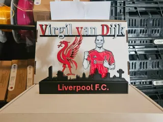 Premier League - Liverpool FC Virgil van Dijk display