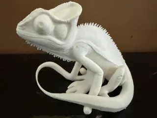 Lizard 3