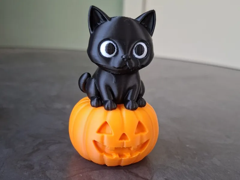Black Cat on Pumpkin