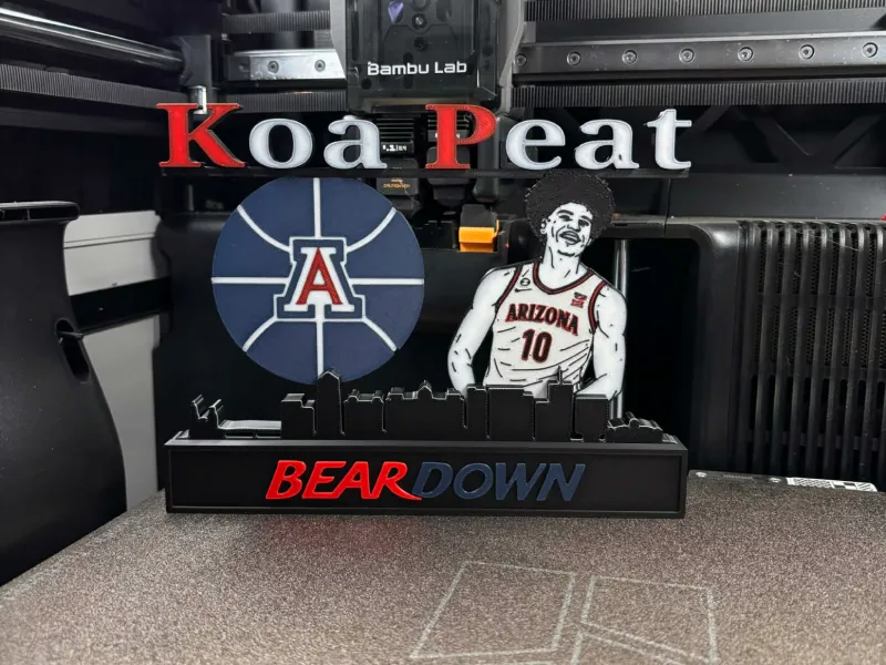 NCAA - Arizona Wildcats Koa Peat display