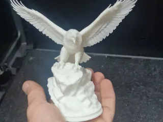 eagle 3dmodel
