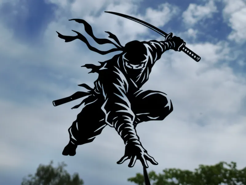 Ninja Warrior 2D Wandkunst