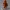 Santa im Schnee