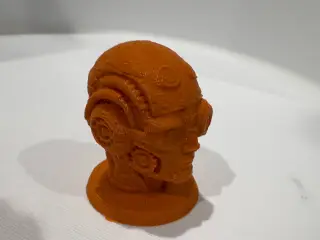 Biomechanical Head